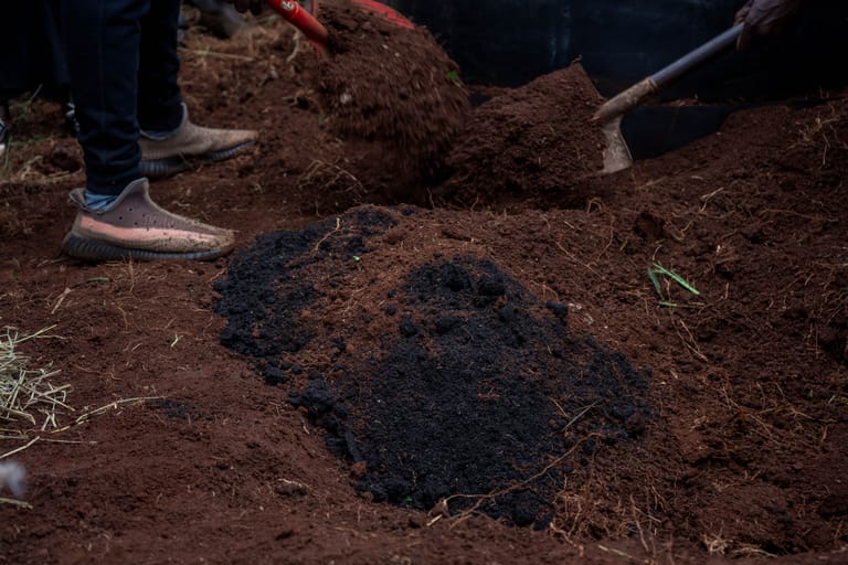 Biochar, the carbon-rich soil amendment this article on biochar in animal feed discusses