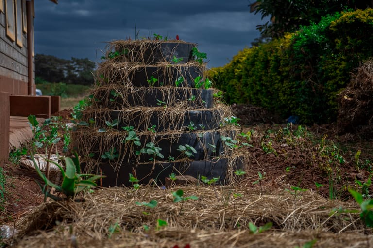 A multi-tier tower garden of vegetables at a smallholder homestead
