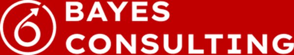 Bayes Consulting